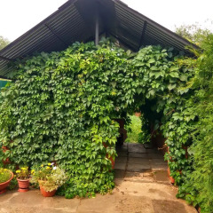 Отель Guest House Rynochnaya 16 Казань