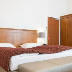 Hotel Mailberger Hof 4* Стандартный номер с различными типами кроватей фото 7