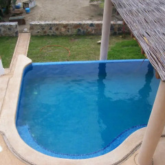 Отель Villa Puesta del Sol Мексика, Коакоюл - отзывы, цены и фото номеров - забронировать отель Villa Puesta del Sol онлайн бассейн фото 2