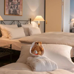 Hotel Elbflorenz Dresden комната для гостей