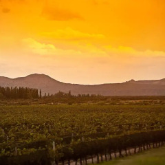 Отель Algodon Wine Estates and Champions Club Аргентина, Сан-Рафаэль - отзывы, цены и фото номеров - забронировать отель Algodon Wine Estates and Champions Club онлайн фото 6
