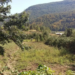 Отель Homestay My Second Family Армения, Анкаван - отзывы, цены и фото номеров - забронировать отель Homestay My Second Family онлайн фото 3