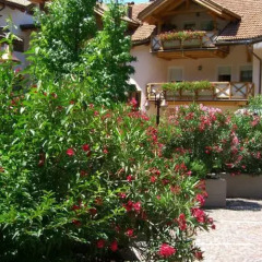 Hotel Ristorante Lewald Горнолыжный курорт Ортлер фото 10