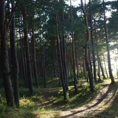 Отель Durbe Jūrmala