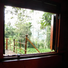 Отель Aelam Home Stay Cabana комната для гостей фото 4