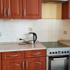Гостиница DeLuxe Apartment Starobitsevskaya в Москве отзывы, цены и фото номеров - забронировать гостиницу DeLuxe Apartment Starobitsevskaya онлайн Москва в номере фото 2