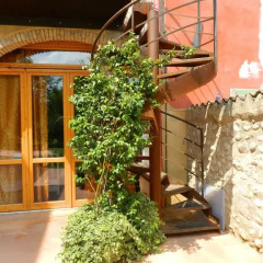 Отель Agriturismo Al Torcol Монцамбано фото 11