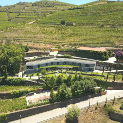 Отель Quinta do Vallado Португалия, Пезу-да-Регуа - отзывы, цены и фото номеров - забронировать отель Quinta do Vallado онлайн фото 9