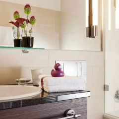 Ameron Luzern Hotel Flora 4* Номер категории Премиум с различными типами кроватей фото 4