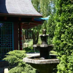 Гостиница Шанхай в Ростове-на-Дону отзывы, цены и фото номеров - забронировать гостиницу Шанхай онлайн Ростов-на-Дону фото 6
