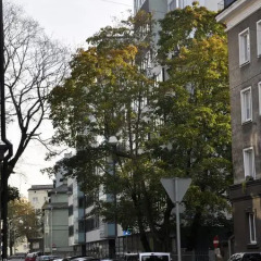 Апартаменты Reval Premium Apartment Таллин фото 10