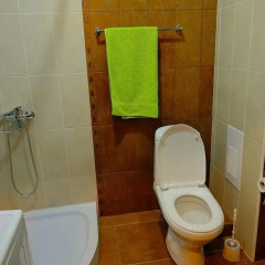 Отель Comfy Moskovyan ванная