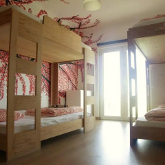 Отель Arthouse Bed and Breakfast Кровать в общем номере двухъярусные кровати фото 4