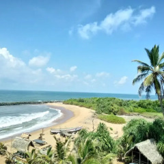Отель Coconut Bay Шри-Ланка, Калутара - отзывы, цены и фото номеров - забронировать отель Coconut Bay онлайн пляж фото 2