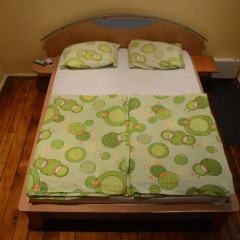 Elegance Hostel and Guesthouse Номер Комфорт с различными типами кроватей фото 6