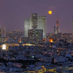 Herods Hotel Tel Aviv by the Beach