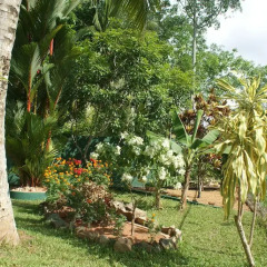 Отель Lanka Rose Guest House Шри-Ланка, Берувела - отзывы, цены и фото номеров - забронировать отель Lanka Rose Guest House онлайн фото 16