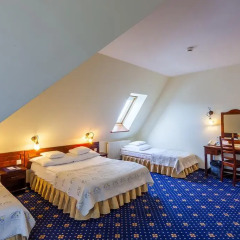 Hotel Belvedere 4* Стандартный номер с различными типами кроватей фото 5