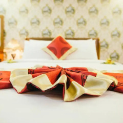 The Airport Hotel 3* Номер Делюкс с различными типами кроватей фото 2