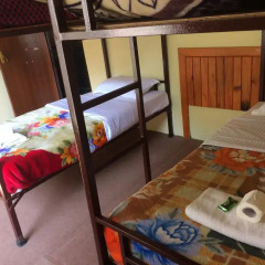 Отель Tourist Hostel Непал, Покхара - отзывы, цены и фото номеров - забронировать отель Tourist Hostel онлайн комната для гостей фото 2