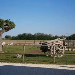 Отель Conero Ranch Порто Реканати парковка