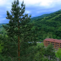 Отель Karin Resort Aghveran Армения, Агверан - отзывы, цены и фото номеров - забронировать отель Karin Resort Aghveran онлайн фото 2