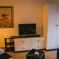 Отель Lina Apartments Сербия, Белград - отзывы, цены и фото номеров - забронировать отель Lina Apartments онлайн удобства в номере
