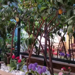 Boyuguzel Termal Hotel Турция, Бурса - отзывы, цены и фото номеров - забронировать отель Boyuguzel Termal Hotel онлайн фото 3
