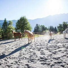 Отель Ferienhäuser Oetztal спортивное сооружение