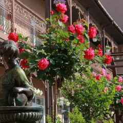 Griboff-hotel