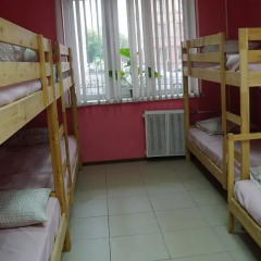 Гостиница Smorodina Hotel & Hostel в Новосибирске отзывы, цены и фото номеров - забронировать гостиницу Smorodina Hotel & Hostel онлайн Новосибирск детские мероприятия фото 2