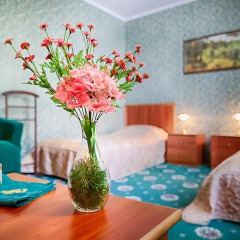 Гостиница Британия 4* Стандартный номер фото 8