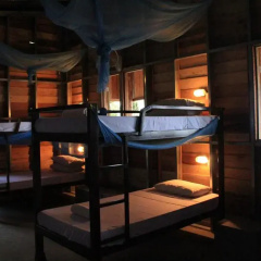 Monkey Maya In Sihanoukville Cambodia From 20 Photos Reviews