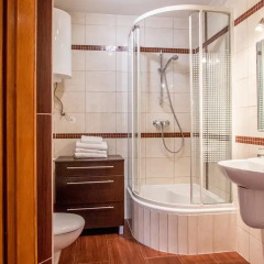 Отель Apartament Regle Zakopane Косцелиско ванная