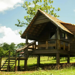 Отель Nature Lodge 2* Бунгало с различными типами кроватей фото 2