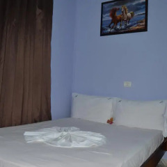 Отель Vila Alvin 3* Апартаменты с различными типами кроватей фото 49