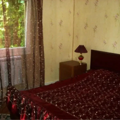Отель Nina B&B Армения, Дилижан - отзывы, цены и фото номеров - забронировать отель Nina B&B онлайн комната для гостей фото 3