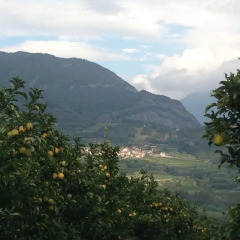 Отель Agritur Le Pergole Помароло фото 8