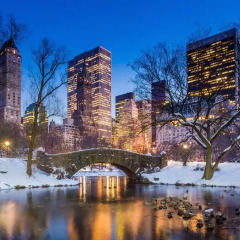 Отель The Pierre, A Taj Hotel, New York США, Нью-Йорк - отзывы, цены и фото номеров - забронировать отель The Pierre, A Taj Hotel, New York онлайн фото 2