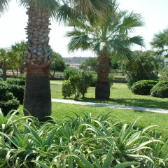 Babaylon Hotel Чешме