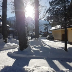 Отель Sunshine Chalet Польша, Закопане - отзывы, цены и фото номеров - забронировать отель Sunshine Chalet онлайн фото 9