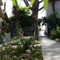 Andiz Beach Hotel фото 10
