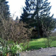 Отель Guesthouse Trabjerg