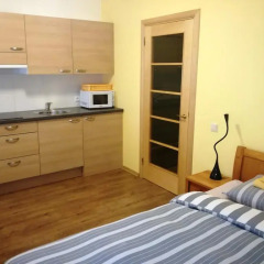Апартаменты Apartment Stabu 105 в номере