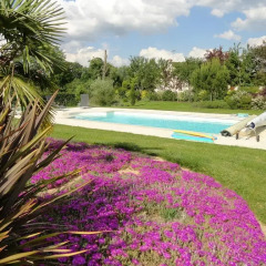 Отель B&B l'Améthyste Сомюр бассейн фото 2