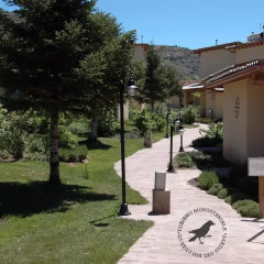 Отель Aparthotel Biosostenible JardÍn Del RÍo Cuervo Трагасете фото 5