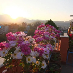 Отель Nepal Apartment Непал, Катманду - отзывы, цены и фото номеров - забронировать отель Nepal Apartment онлайн балкон