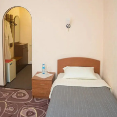 Гостиница Электрон 3* Номер Комфорт с различными типами кроватей фото 2