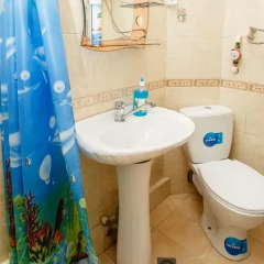 Гостиница Sochi Olympic Villa Номер Делюкс с различными типами кроватей фото 41