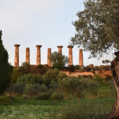 Отель B&B Kolymbetra Агридженто фото 2